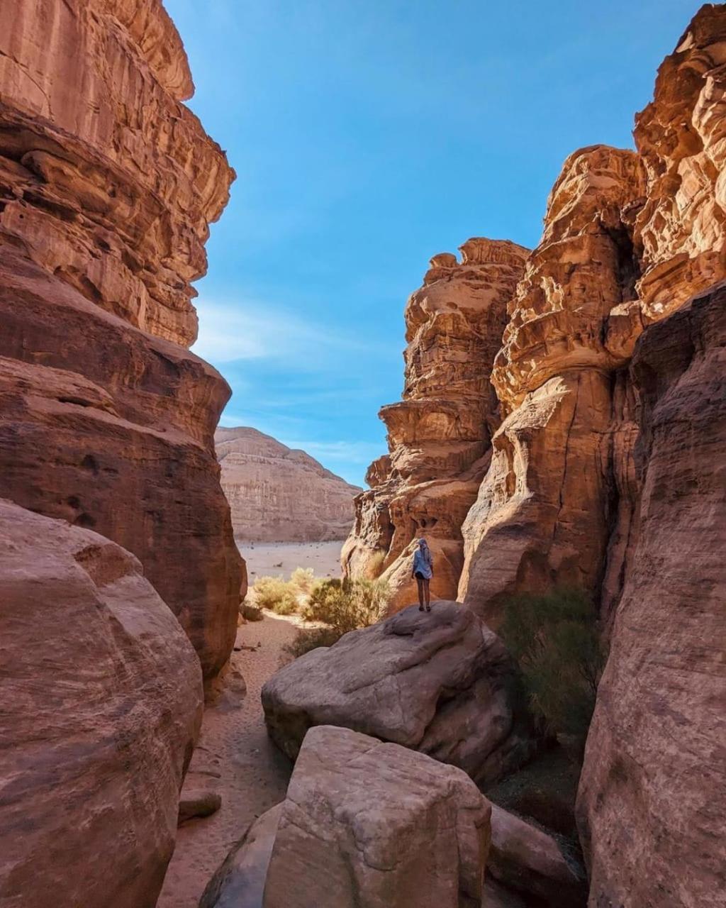 Rum Solaris Bubbles Camp Wadi Rum Exterior photo